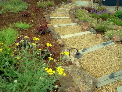 Equinox Landscape - Deck Building & Repair in Petaluma, CA