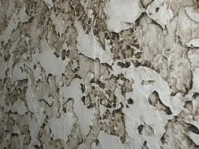 Schloegel Painting - Custom Cabinets & Cabinetry in Olathe, KS