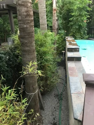 FiveSTAR Landscape - Outdoor Lighting Installation in Houston, TX