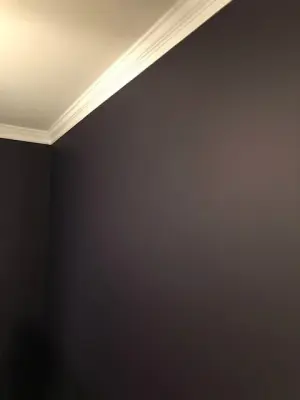 Paragon Painting, LLC - Drywall Installation & Repair in Centreville, VA