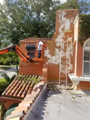 Removal of Ivy and Wall Painting — House Painting Services project by AVR Painting Services Inc.