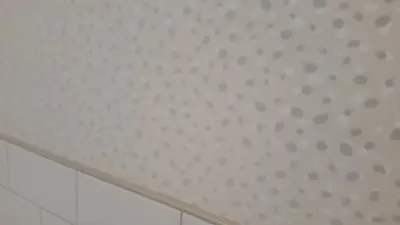 Burnjoy - Wallcovering - House Painting Services in New Braunfels, TX