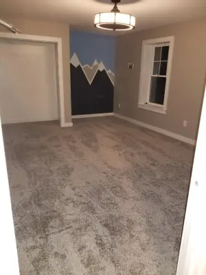 Lion — House Painting Services project by Home Enhancement