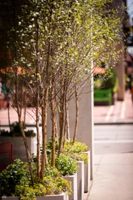 Flourish - Garden Remodeling in Cincinnati, OH