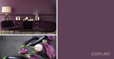 Designing Your Dream Home — House Painting Services project by Wow 1 Day Painting