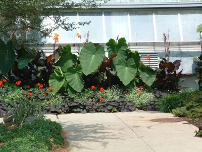 Flourish - Garden Remodeling in Cincinnati, OH