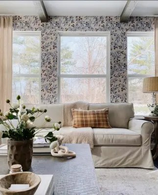 Living Room Wall Covering Initiative by Collins Painting