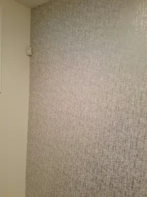 Logan Square basement feature wall wallpaper by Windy City Painters