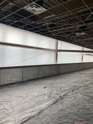 Blue Sky Painting & Carpentry - Carpentry & Woodworking in Columbia, MD
