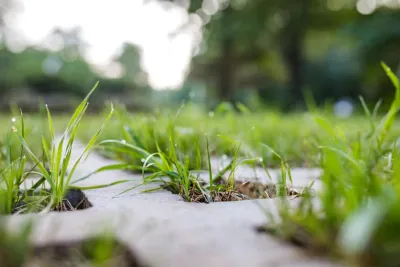 Soddy Daisy, Permeable Pavers and Landscape Renovation — Landscape Design project by Full Circle Land Design, LLC