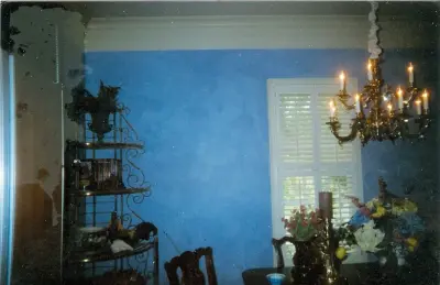 Male and Female Painting Team - Interior Design & Decorating in Bloomfield Hills, MI