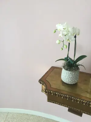 All Los Angeles Painting Company, Inc. - Interior Design & Decorating in Los Angeles, CA
