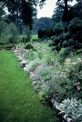 Vibrant Plantings — Landscape Design project by Land Architects, Inc.