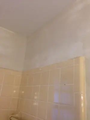 My Project — House Painting Services project by PaintForce1 LLC
