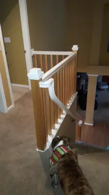 Staircase Renovation by Hometerior Finishing, LLC.