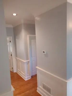 Louie's Painting Service - House Painting Services in Lancaster, PA