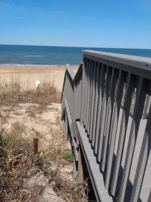 Bucephalus Production LLC - Drywall Installation & Repair in Virginia Beach, VA