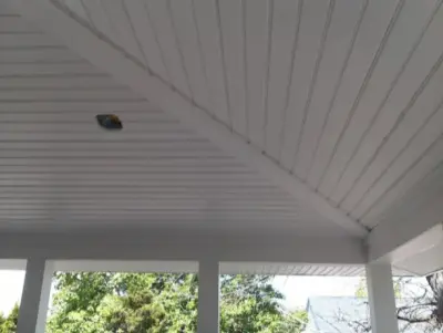 Additional Renovations — House Painting Services project by Rodulfox Contractors, LLC