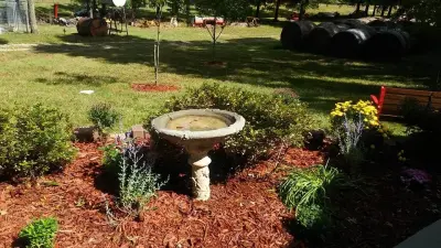 Williams Services LLC. - House Painting Services in Green Ridge, MO