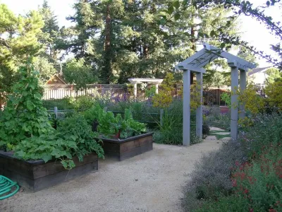 Garden Sense Inc. - Drought-Resistant Lawn Installation in Menlo Park, CA