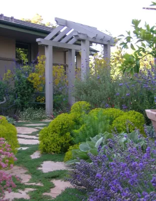 Garden Sense Inc. - Drought-Resistant Lawn Installation in Menlo Park, CA