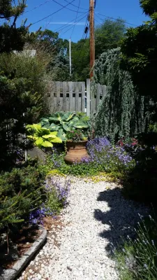 Milford CT, Tiny front yard — Landscape Design project by Gardens By Design Of Connecticut, LLC in Milford