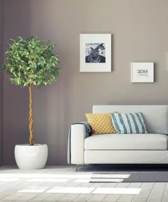 Bill Higgins Painting Inc - House Painting Services in Winter Garden, FL