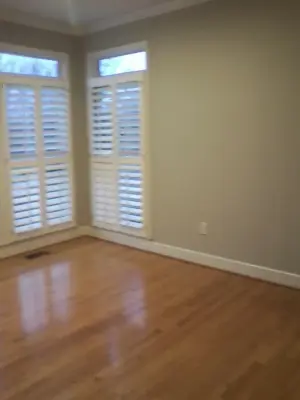 Dog & Cat Painting - Interior Design & Decorating in Rockwood, TN