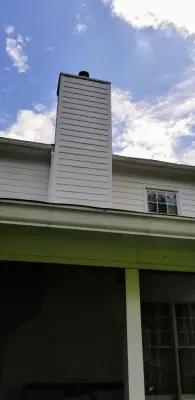 Dog & Cat Painting - Interior Design & Decorating in Rockwood, TN