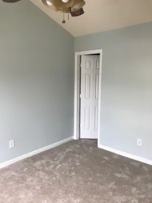 Bedroom Mural — House Painting Services project by 360 Painting Gastonia - Rock Hill