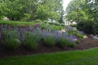 Front Renovation & Planting of Septic Dome — Landscape Design project by GLDesigns in Doylestown