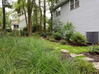 Forest Pondscape — Landscape Design project by GLDesigns