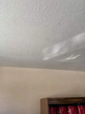 Artistic Endeavors in Painting — House Painting Services project by Kjs Painting
