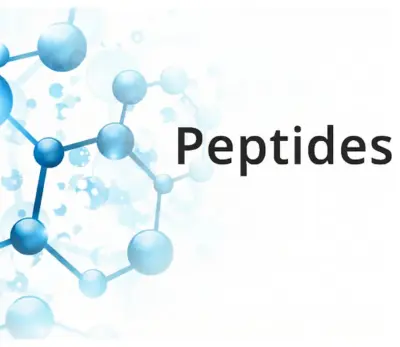 Peptide Hubs - House Painting Services in Albany, NY