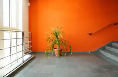 Envision Painting - Flooring Installation Services in Gilbert, AZ