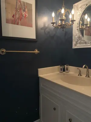 Mood Transformation in the Powder Room — House Painting Services project by Aimee Struble