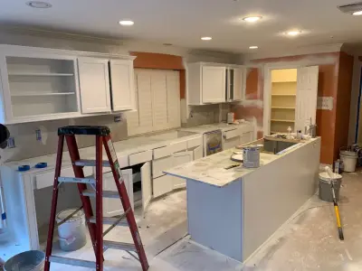 Holling Project — House Painting Services project by Tidy Pro Painters