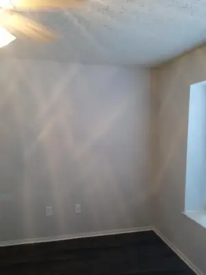 TIU Professional Painters and Handyman Services - Handyman Services in Houston, TX