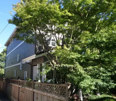 Jack's Ever GREEN Painting Corp. - Carpentry & Woodworking in Bellevue, WA