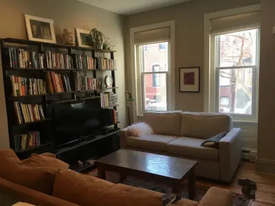 Craig Ebner Painting LLC - Interior Design & Decorating in Philadelphia, PA