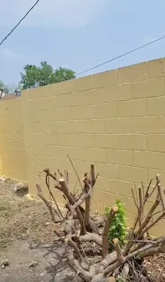 Fresh Coat Painters of McAllen - Interior Design & Decorating in Edinburg, TX