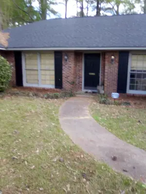 Skylight painting LLC - Deck Building & Repair in Brandon, MS