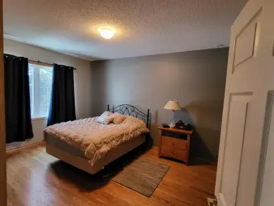 All Metro Painting LLC - House Painting Services in Wyoming, MN