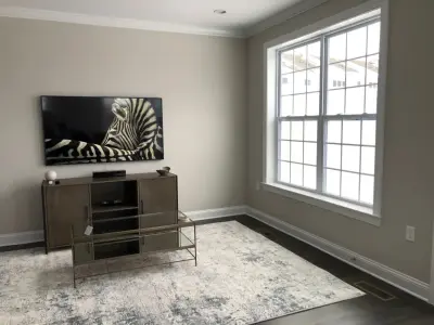 New Townhome Development by Hudson Paint Contracting & Refinishing By Hudson