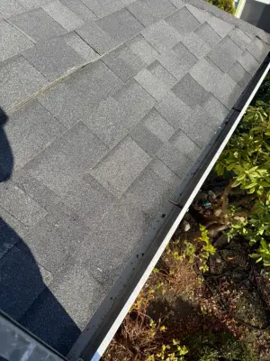 Roof and Gutter Maintenance by All Terrain Painting & Repairs NW