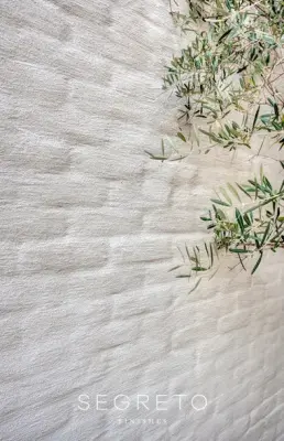 Slurry and Lime Coating — House Painting Services project by Segreto Finishes