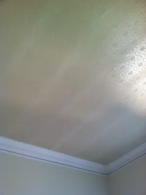 Tech Painting Company - Interior Design & Decorating in Alexandria, VA