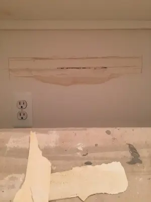 Sonja's Condo Selling Preparation — House Painting Services project by Speed Pro Painting