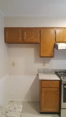 Southern Pines - Renovation - Cabinet Paint Refinishing — House Painting Services project by Shirl Ames / Set The Stage LLC