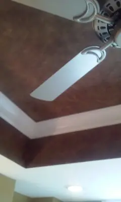 Visual Effects Painting & Decorating L.L.C. - Interior Design & Decorating in Jacksonville, FL